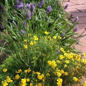 Meet your Posher, Kourtney